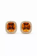 NOVEMBER | HONEY SPARK STUDS