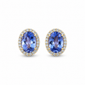 Tanzanite Halo Studs