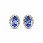 Tanzanite Halo Studs