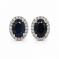 Oval Sapphire Halo Studs